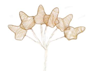 Bouillonblume, Perldrahtblatt, Perldraht-Efeublatt, Bouillon-Blumen, Bouillondrahtblumen, Drahtblume, Bouillonblüte, Klosterarbeiten, Bastelartikel, Bastelmaterial, Dekomaterial