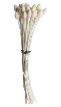 Blütenstempel künstlich, Staubgefässe, Staubblätter, Blütenstaubgefäße, Masseblumen,Masseblüten, Fadenstiele, Bötzl, Perlartikel, Dekoartikel, Bastelmaterial, Floristikbedarf