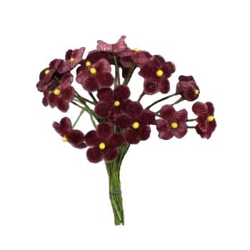 Seidenblume Vergissmeinnicht