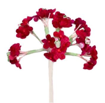 Kunstblume-Vergissmeinnicht