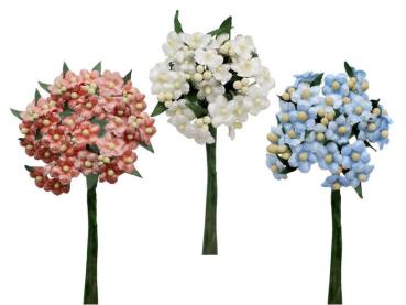 Seidenblume Vergissmeinnicht