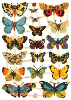 Glanzbilder Schmetterlinge, Poesiebilder