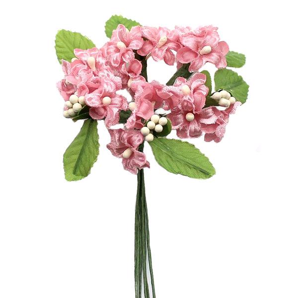 Seidenblume Fliederblüte