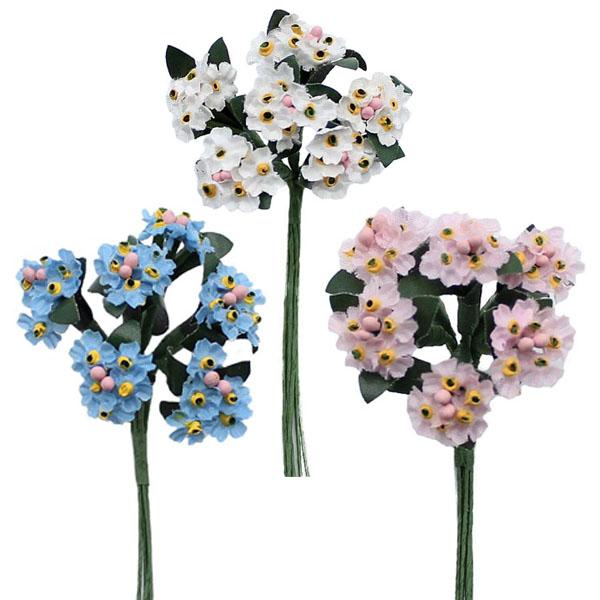 Seidenblume Vergissmeinnicht