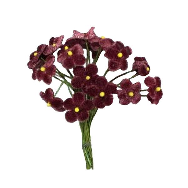 Seidenblume Vergissmeinnicht