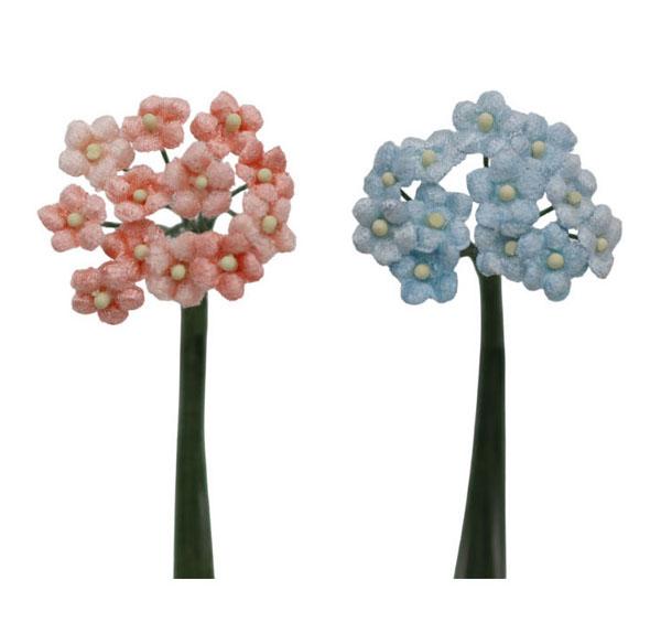 Seidenblume Vergissmeinnicht