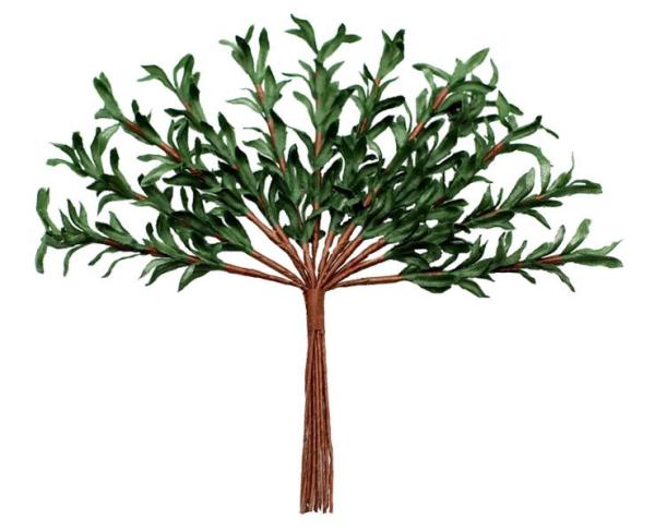 Rosmarin, künstlich Zweige, Kunstpflanze, Bastelmaterial