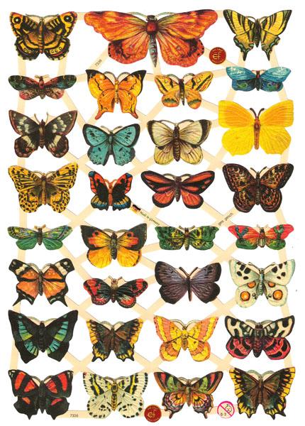 Glanzbilder Schmetterlinge, Poesiealbumbilder, Oblaten
