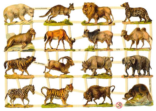 Glanzbilder, Tiere Afrika, Poesiebilder, Bastelartikel