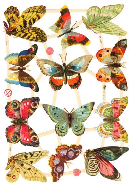 Glanzbilder Schmetterlinge, Poesiebilder
