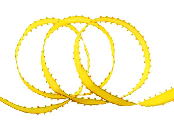 Sommerliches Schleifenband, Geschenkband, Motivband, Dekoband, Dekorationsband, Zierbänder, Floristikbänder, Bastelbänder